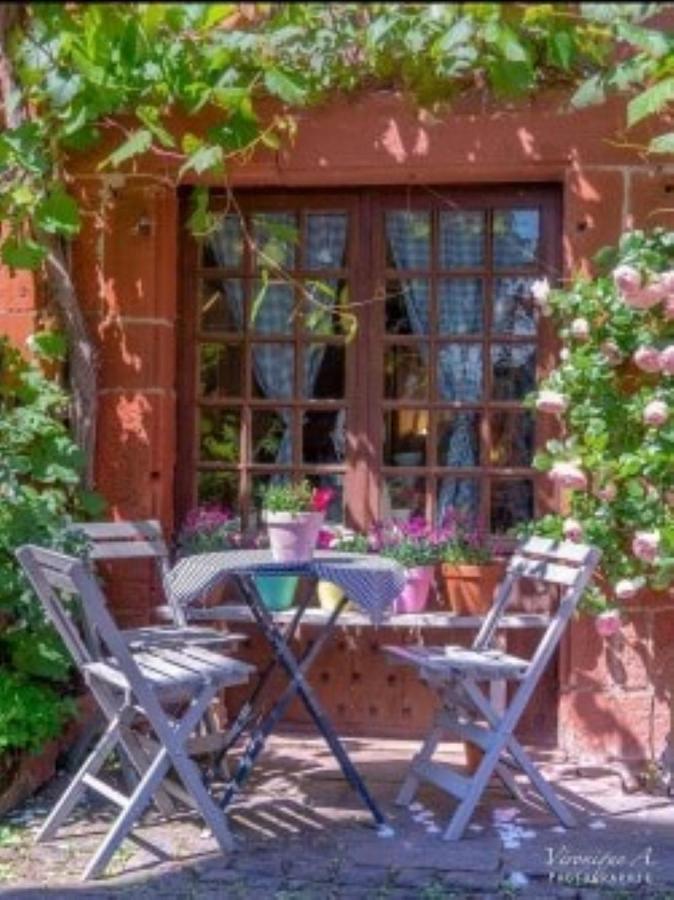 Le Parc Des 4 Saisons Bed & Breakfast กอร์แรซ ภายนอก รูปภาพ